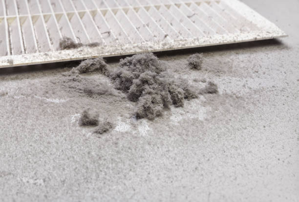 Best Air Duct Cleaning Near Me  in Gaylord, MI